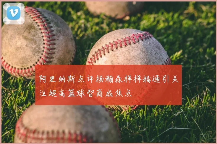 阿里纳斯点评杨瀚森样样精通引关注超高篮球智商成焦点