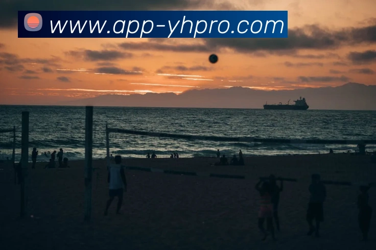 App Interface Preview